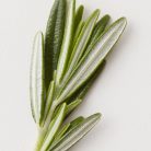 16955d3bf52e91bc0e6cceaec2b9f1b5.jpg